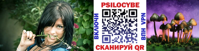 Галлюциногенные грибы Psilocybe  закладки  Биробиджан 
